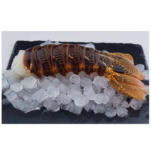 Langostas Tristán Congeladas al por Mayor, Tamaño Grande, Mariscos Frescos para Hoteles, Restaurantes y Chefs Gourmet - Product Image 6