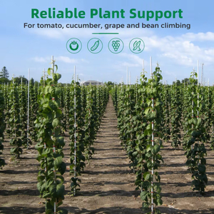 Piquets d'arbre flexibles en PRV (Plastique Renforcé) pour pépinière de tomates, haute résistance, légers, en plastique renforcé - Product Image 3