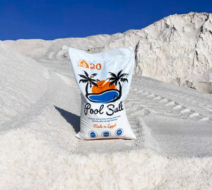 Sal para Piscinas NaCl de Alta Pureza 99.9% Grado Industrial para Cloración y Ablandamiento de Agua, Agente Químico a Granel Certificado ISO 9001:2015 - Product Image 4