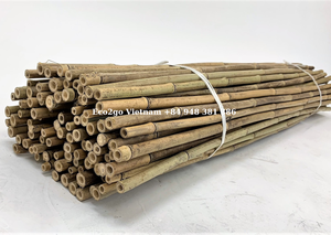 Bastones de estaca de bambú de alta calidad y estacas de flores con rama Eco2go Vietnam ofrece productos ecológicos - Product Image 5