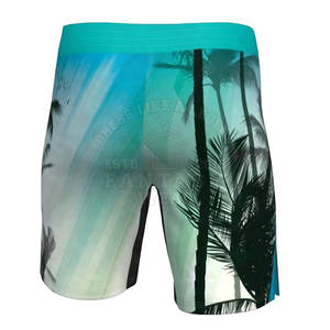 Pantalones Cortos de MMA 2026, Servicios OEM, Precio Razonable, Último Estilo, Diseño Personalizado, MOQ Bajo, Pantalones Cortos de MMA para Hombre - Product Image 6