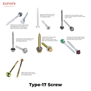 สกรูเกลียวคู่แบบ17จุดสำหรับดาดฟ้ากลางแจ้ง - Product Image 6