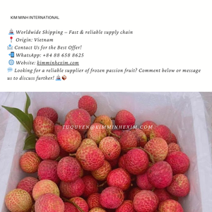 Lychis congelés IQF du Vietnam emballés en vrac saumure conservée-stockage 18C fruits de qualité supérieure pour votre commodité - Product Image 4