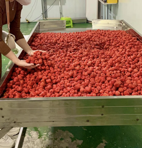 สตรอว์เบอร์รีอบแห้งจากเวียดนาม ผลิตจากชิ้นสตรอว์เบอร์รีธรรมชาติ สำหรับการแปรรูปเป็นขนมและจำหน่ายเชิงพาณิชย์ - Product Image 1