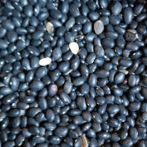 Frijoles Negros Orgánicos Pequeños, Frijoles Tortuga, Precio de Frijoles Negros Secos - Product Image 2