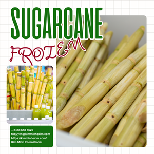 Segmentos de Caña de Azúcar Congelados LQF (Palitos Dulces Naturales) Grado de Exportación a Granel de Vietnam por KIM MINH - Product Image 2