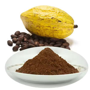 Polvo de cacao alcalinizado natural de grado alimenticio Chocolate negro oscuro marrón en bolsa Procesado holandés - Product Image 1