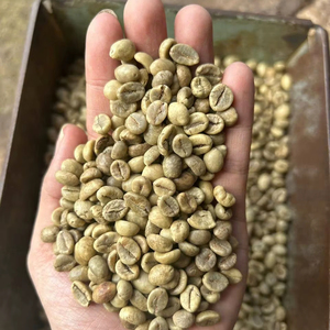 Bulk Vietnam Green <b>Coffee</b> <b>Beans</b> - Grade 1 Screen 18 Robusta - Raw Unroasted <b>Coffee</b> for Home Roasting Arabica <b>coffee</b> Robusta - Product Image 1