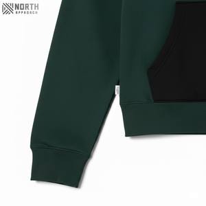 Sweat à capuche brodé personnalisé 300g 100% coton bouffé d'impression Streetwear uni pour hommes technique de teinture unie d'hiver en polaire unie - Product Image 5