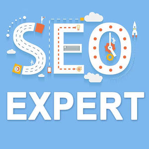 Fournir des services spécialisés de référencement avancés pour stimuler le classement du site Web de la société de produits de beauté - Product Image 1