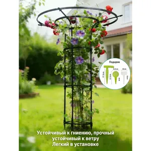 Soporte para Plantas Trepadoras de Acero Galvanizado, 215 cm, 180 cm, 145 cm, 110 cm, Estilo Simple, para Jardín - Product Image 1