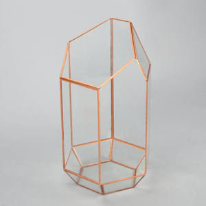 Modern <b>Clear</b> <b>Glass</b> <b>Vase</b> Terrarium for Home & Wedding Decor High Quality Air Plant Flower Terrarium at Best Prices - Product Image 6