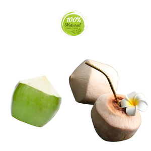 Solución nutricional de productos agrícolas de coco de diamante para entusiastas de la salud - Product Image 6