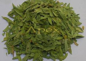 Feuilles entières séchées, Cassia angustifolia feuilles de séné coupées en T, poudre de feuilles de séné, exportateur en vrac de l'Inde, herbe laxative naturelle - Product Image 2