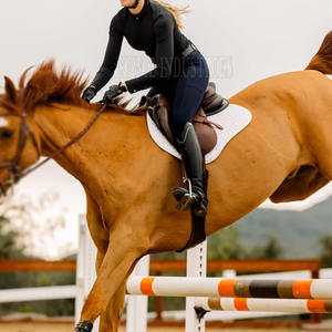 2024 chemise d'équitation de qualité supérieure rayé à manches longues ample été respirant chemise d'équitation - Product Image 4