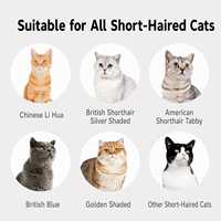 Brosse de toilettage pour animaux de compagnie en silicone ABS, autonettoyante, douce, personnalisable, pour massage et démêlage des poils, pour chats et chiens, pour le bain et l'usage domestique, vente en gros