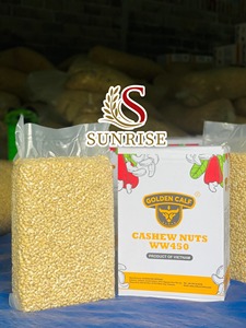 Anacardos crudos de todos los tipos W180 W240 W320 W480, nueces de alta calidad estándar con alta nutrición - Product Image 5