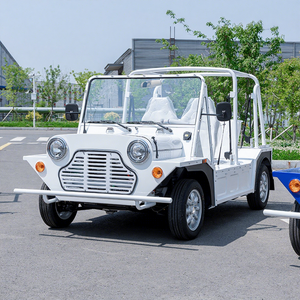 Mini Moke électrique personnalisé pour 4 personnes, véhicule à énergie nouvelle, étanche, batterie grande capacité, autonomie de 501 à 600 km, moteur de 300 kW - Product Image 1