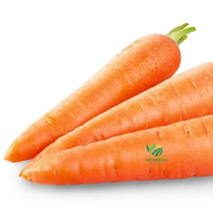 Carotte congelée de VIET THIEN PHU-Cultivée en serre traitée IQF-Forme de cube de haute qualité-Vente chaude de qualité supérieure - Product Image 1