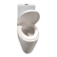 WC mural monobloc en céramique One Piece Swiss 117 à double chasse siphonique, équipement sanitaire moderne pour salle de bain