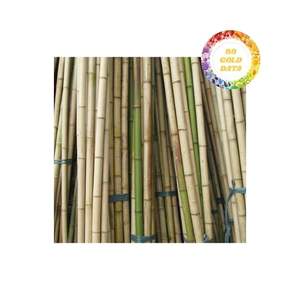 Poteaux de bambou durables directement des tubes de bambou d'usine pour le soutien de jardin et les idées créatives de décoration - Product Image 4
