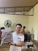 100% Natuurlijke Macadamia Noten, Blanchied, Gekrakeld, Gedroogd, Grootte >25mm, Gezonde Snack, Schil, 500g, Voedzaam Voedsel, Verpakt in Pet Pot, Macca