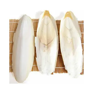 Wholesales Clean Pet Safe Cuttlefish- Best Choice For Your Pets At Factory Price for Export