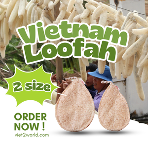 Esponja orgánica ecológica para limpieza de cocina, cepillos de baño ecológicos, esponjas y depuradores - Product Image 1