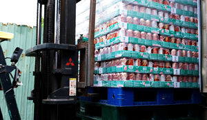 เครื่องดื่มปราศจากน้ำจากดอกมะลิชาขาวประกาย330มล. เครื่องดื่มคุณภาพระดับพรีเมียมฉลากส่วนตัวซัพพลายเออร์ขายส่ง (OEM OTM) - Product Image 3