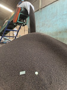 [Oferta] Pimienta Negra de Alta Calidad a Precio Económico 5mm 500 FAQ 500 MC 550 MC de un Proveedor Confiable +84 399521266 Sra. Mia - Product Image 6