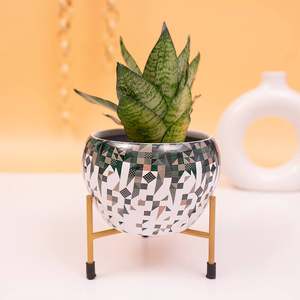 Pots de fleurs fer métal planteur fil rustique solide Base support pièce maîtresse petites plantes jardin enduit de poudre Style américain - Product Image 4