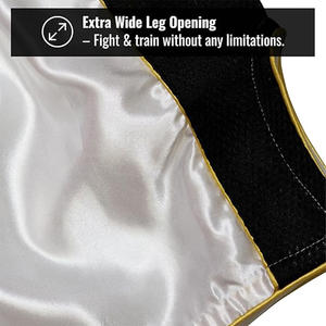 Pantalones cortos de Muay Thai para hombres y mujeres de alto grado MMA Gym Boxing Kickboxing Shorts con parche bordado Pedidos OEM disponibles - Product Image 3