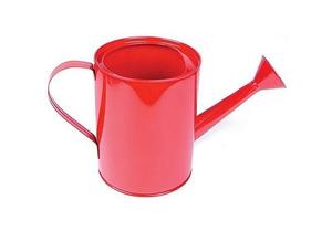 Arrosoir en acier de style rustique vintage, couleur et taille personnalisables, capacité de 1,5 L, durable, écologique, outil de jardinage extérieur, vente en gros - Product Image 4