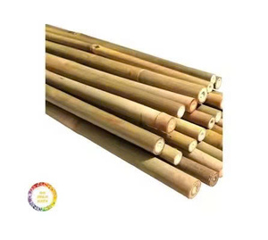 Piquets en bambou pour plantes de tomates, système de treillis de support de plantes, serre, pépinière, fleurs grimpantes, fournisseur du Vietnam. - Product Image 4