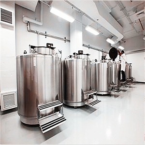 Congelador de nitrógeno líquido Dewars Biological Sample Bank Series - Product Image 5