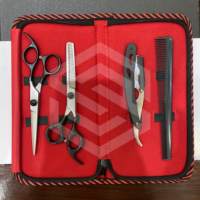 Kit de coupe de cheveux professionnel SUNSTAR IMPEX, acier inoxydable de haute qualité, taille et couleur personnalisables, outil durable avec logo OEM