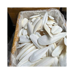 Os de seiche séchés, vente en gros, export, approvisionnement en vrac, calcium naturel pour oiseaux et animaux de compagnie, prix compétitif - Product Image 1