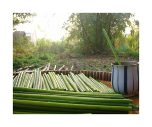 หญ้าฟางจากเวียดนามเป็นมิตรกับสิ่งแวดล้อมและย่อยสลายได้สำหรับผู้ซื้อส่งออกเครื่องดื่ม - Product Image 5