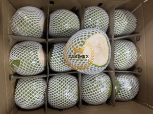 100% fruits tropicaux frais diamant jeune noix de coco pour les boissons Vietnam fournit une noix de coco saine douce - Product Image 4