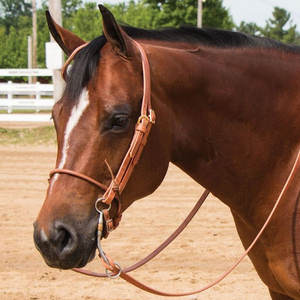 Double S Roulé Nez Caveson Chevaux Culotte Premium Hand Rubbed Harness Leather Adjustable Fit Horse Training Aid Targets - Product Image 4