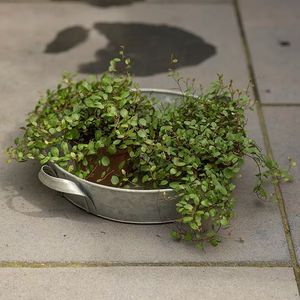 Vente chaude De Luxe Fabriqué À La Main En Métal Galvanisé Fleur Planteur Plateau pour La Maison Hôtel ou Jardin Belle Décorative Décor À La Maison - Product Image 3