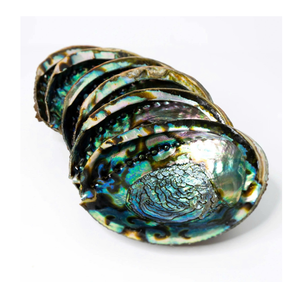 <b>Abalone</b> <b>Shells</b> For Stylish Bohemian Room Accents <b>Abalone</b> <b>Shells</b> Great For Natural Home Interiors - Product Image 1
