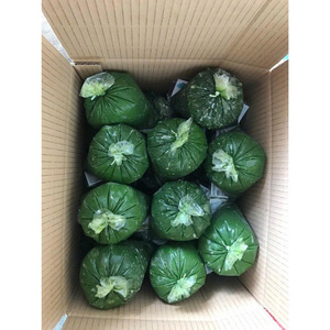 Hojas de Yuca Congeladas de Calidad de Exportación de Vietnam, Hechas con Hojas Frescas, Estándares de Grado Alimenticio y Precios Competitivos - Product Image 5