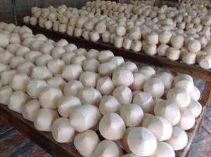 Directement du Vietnam, jeunes noix de coco fraîches de qualité supérieure en vrac - Product Image 5