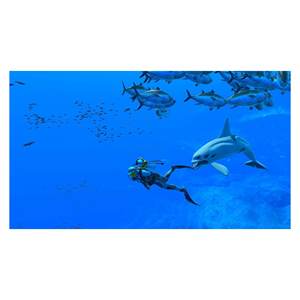 Endless Ocean Luminous para Nintendo Switch PEGI 3+ Videojuego Portátil NIN10013817 - Product Image 3