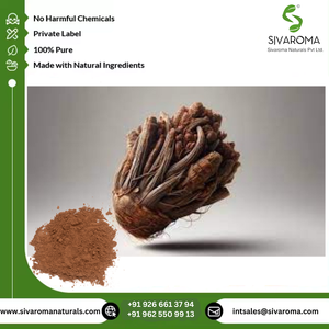 สารสกัดจากสมุนไพรธรรมชาติ100% ผงสกัด Jatamansi Jatamansi จากธรรมชาติคุณภาพพรีเมี่ยม - Product Image 6