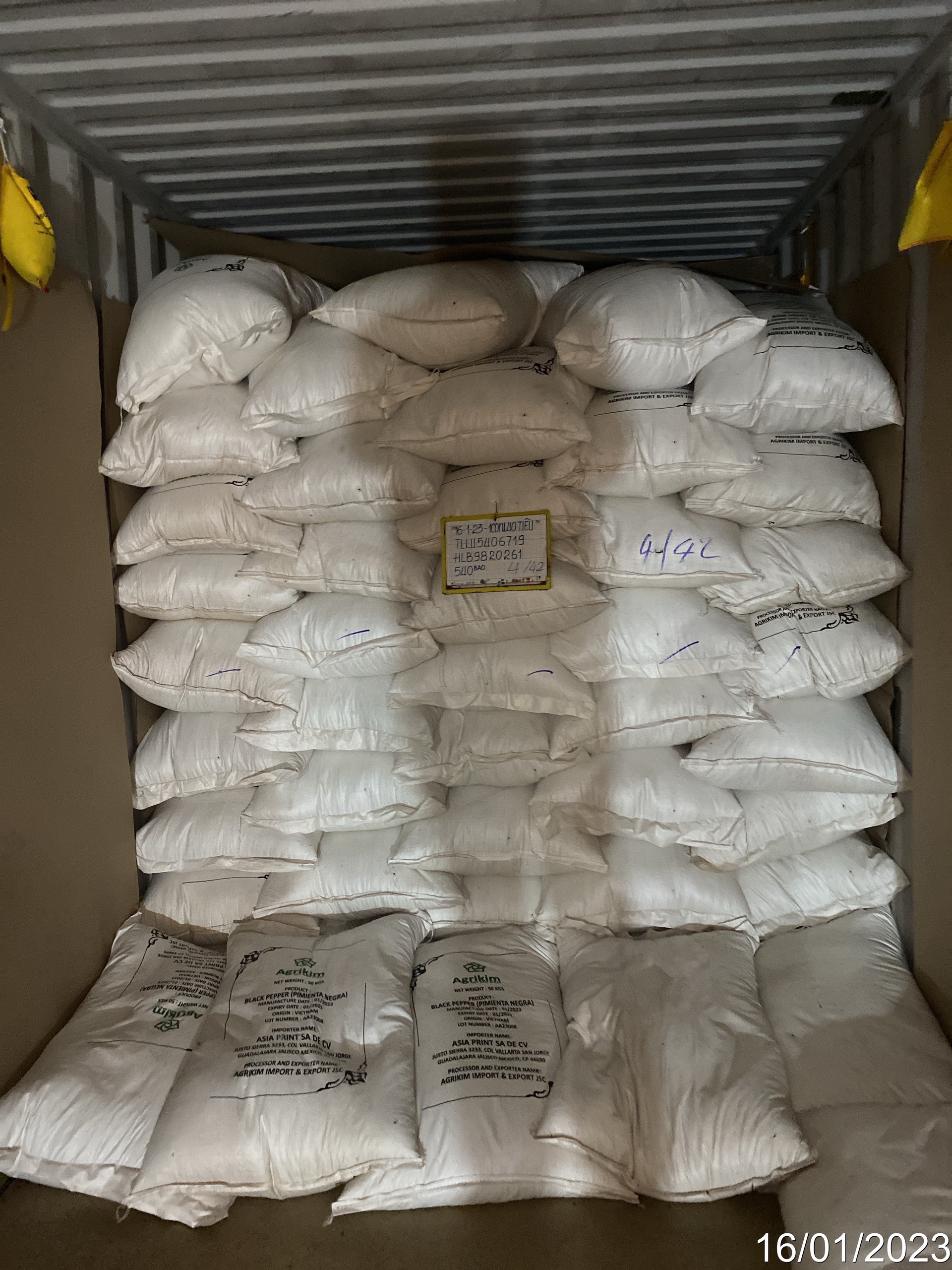 black pepper nursery