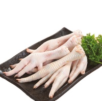 Pattes de poulet congelées Halal BQF IQF de qualité supérieure, emballées sous vide, 10 kg, nutritives, faibles en sodium, sans gluten, durée de conservation de 3 ans, export