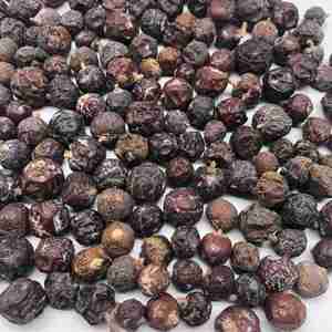 Natural organic juniper berries bulk supply new season premium quality dried juniper berries wholesale private label packaging - Product Image 4