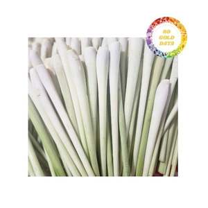 Hierba Limón Vietnamita Congelada de Alta Calidad, Fresca y Cortada, con Aroma Natural, Procesada y Envasada con Tecnología IQF para Exportación a Granel a Compradores - Product Image 6